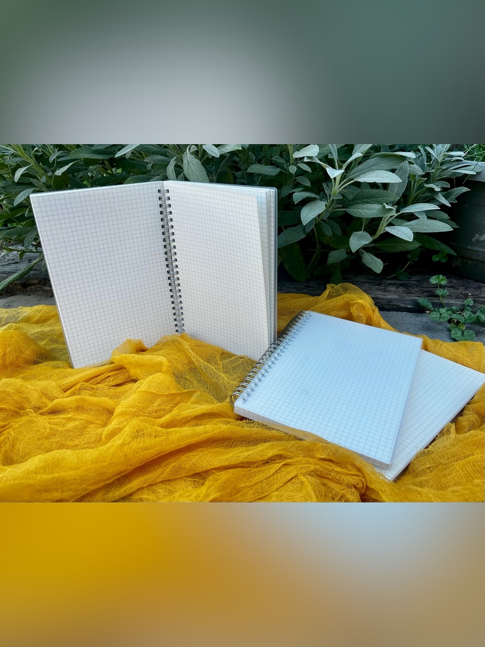 Spiral Graph Notebook with Clear Matte Covers - Pack of 3